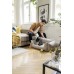 KÄRCHER AKU Tyčový vysavač VC 4 Cordless myHome Pet 1.198-633.0
